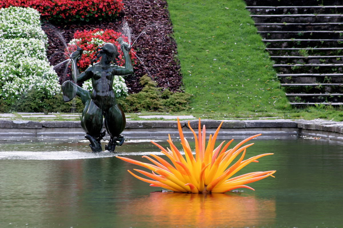 Botaniska-Agave-bild1 kopiera
