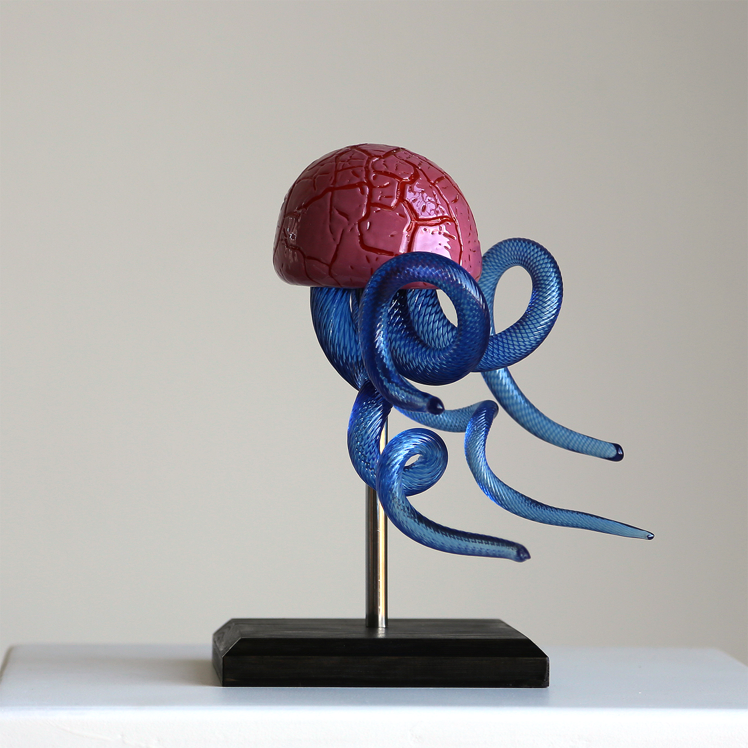 På pinne blåtentackel